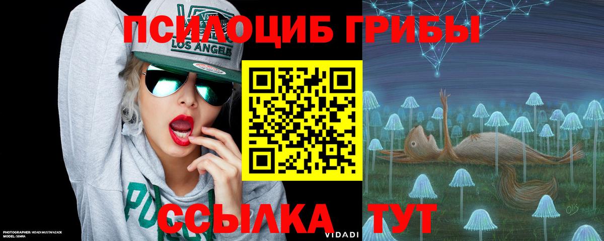цена   Вход с VPN  Дмитров  Псилоцибиновые грибы GOLDEN TEACHER 